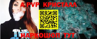 spice Гатчина