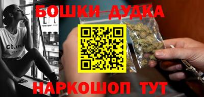 spice Гатчина