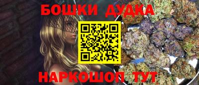 spice Гатчина