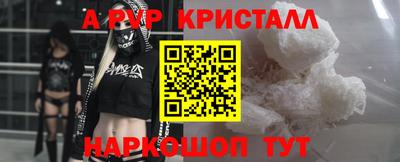 spice Гатчина