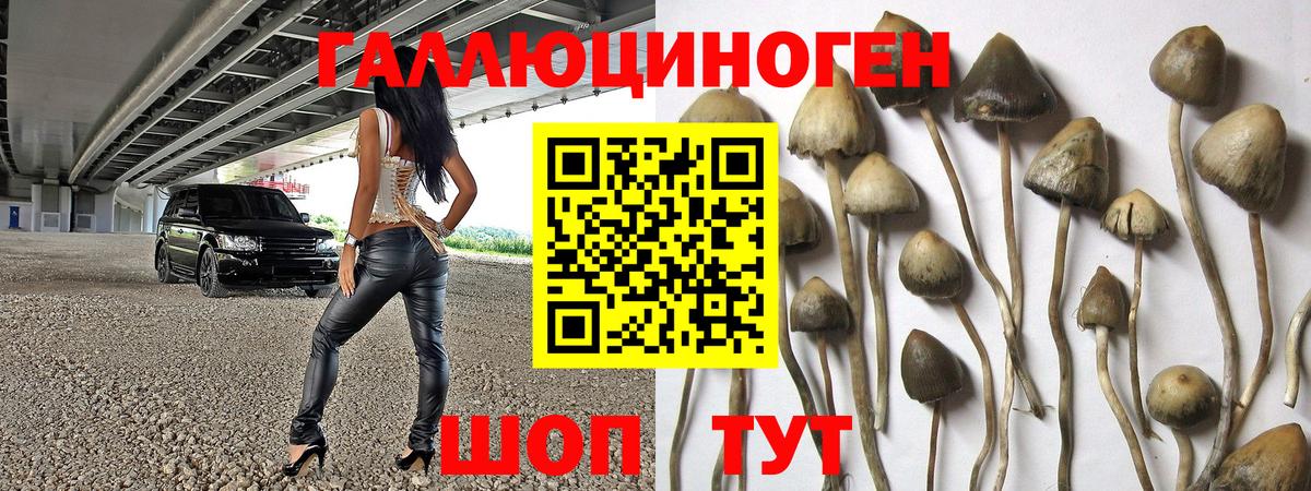 Псилоцибиновые грибы прущие грибы  Галлюциногенные грибы прущие грибы  Клин  Вход с VPN 
